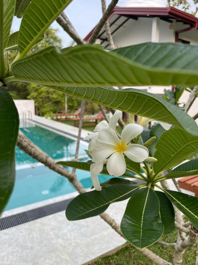 Finch Tangalle Exterior photo