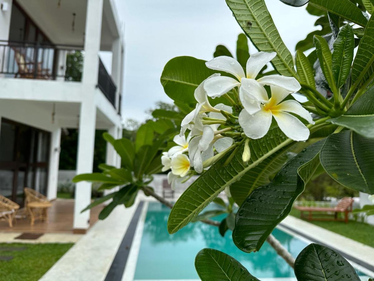 Finch Tangalle Exterior photo