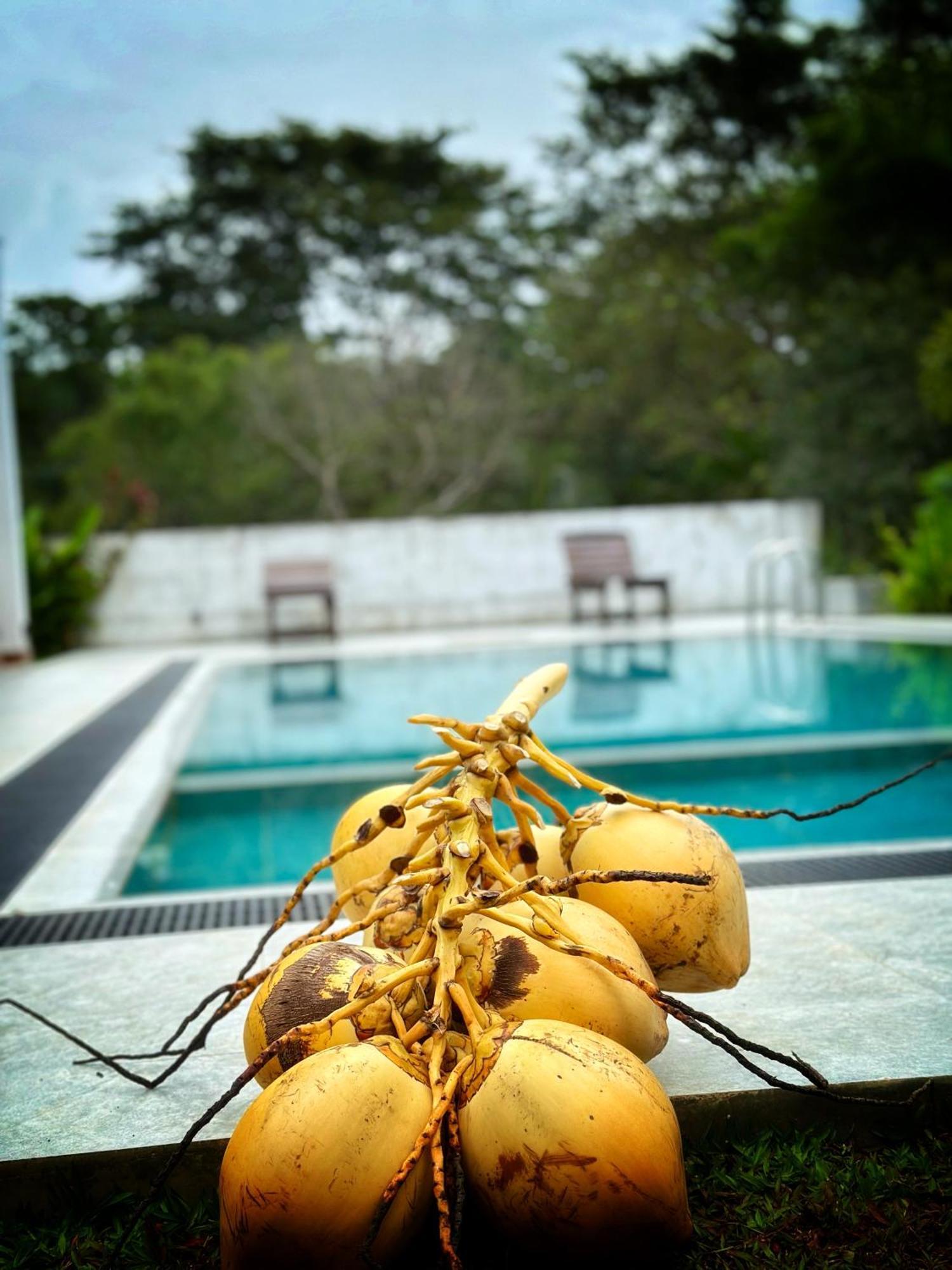 Finch Tangalle Exterior photo